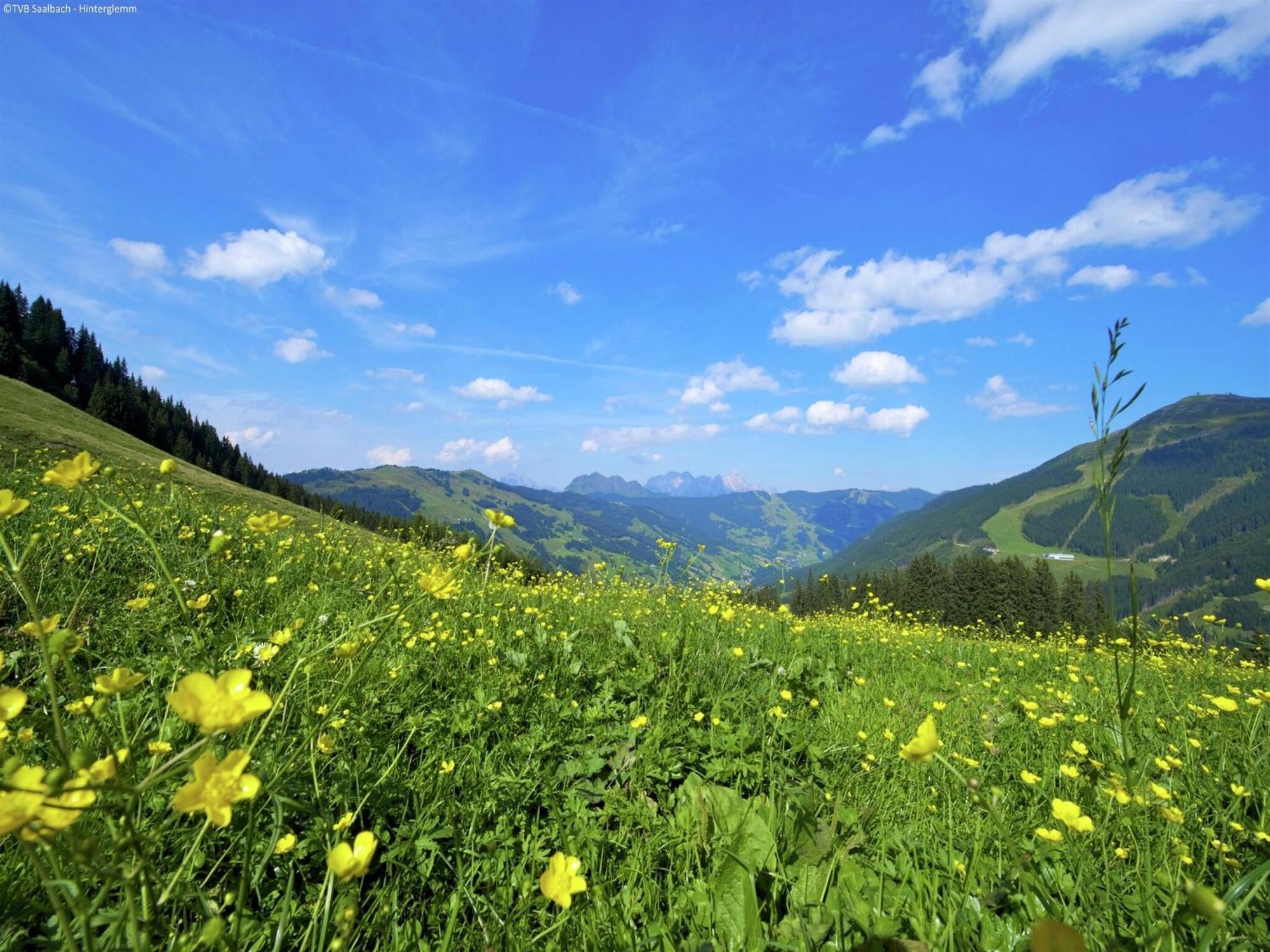 Apartment In Saalbach Hinterglemm Near Ski Area Exterior foto